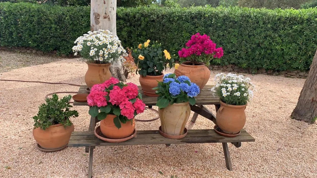 Villa Kentia Mallorca, Charming And Stylish Country House Close To Palma Spanje
